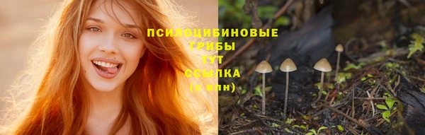 гидра Волосово