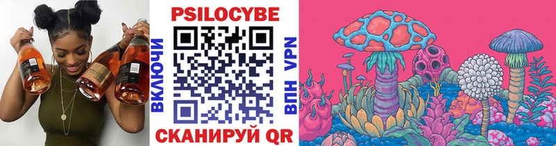 Псилоцибиновые грибы Psilocybine cubensis  Духовщина 