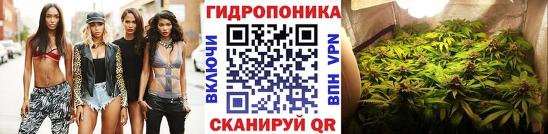 Конопля план  Духовщина 